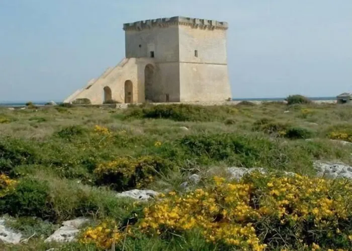 Vev Salento 3*